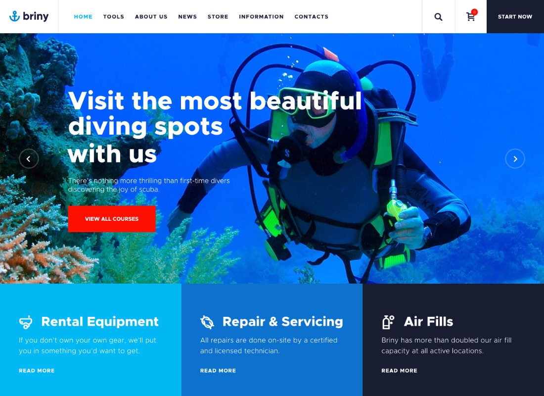 Briny | Scuba Diving School & Water Sports WordPress Theme