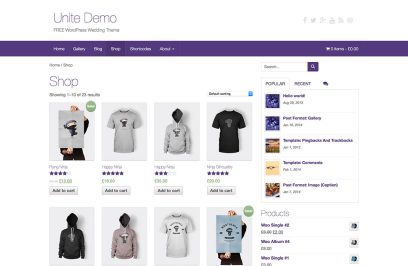 free eCommerce WordPress theme