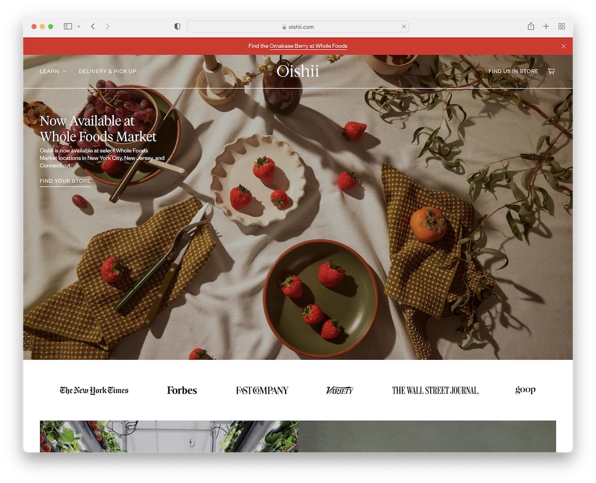 oishii simple website example
