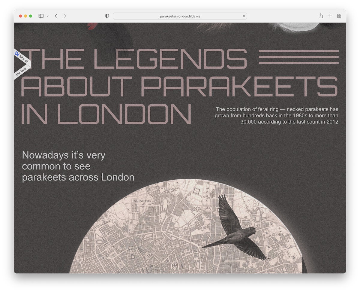 parekeets in london tilda website