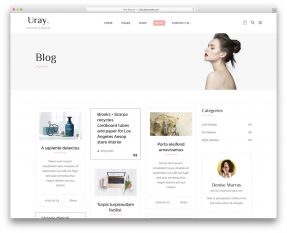 shopify blog themes