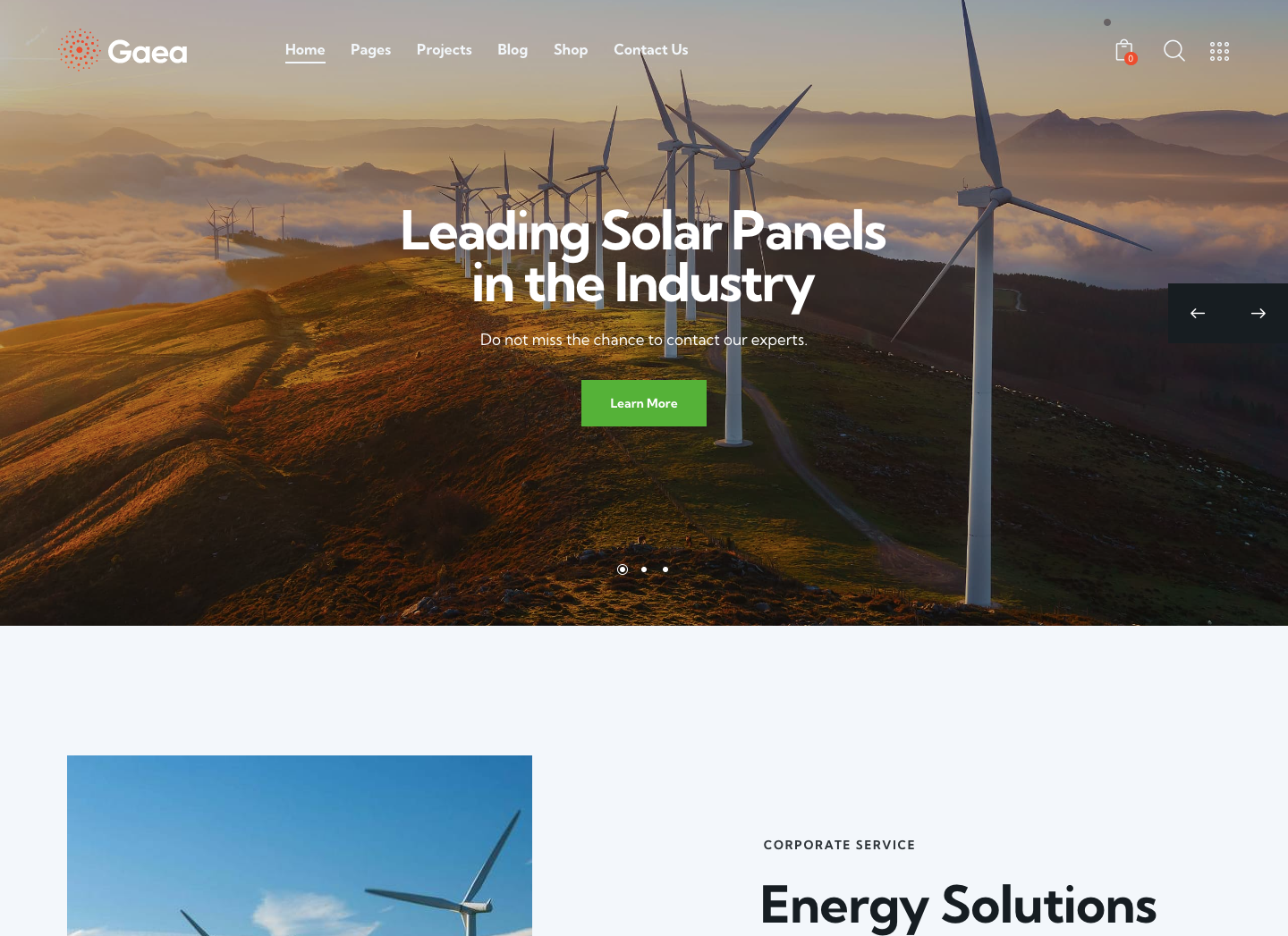 Gaea - NonProfit & Ecology Protection WordPress Theme