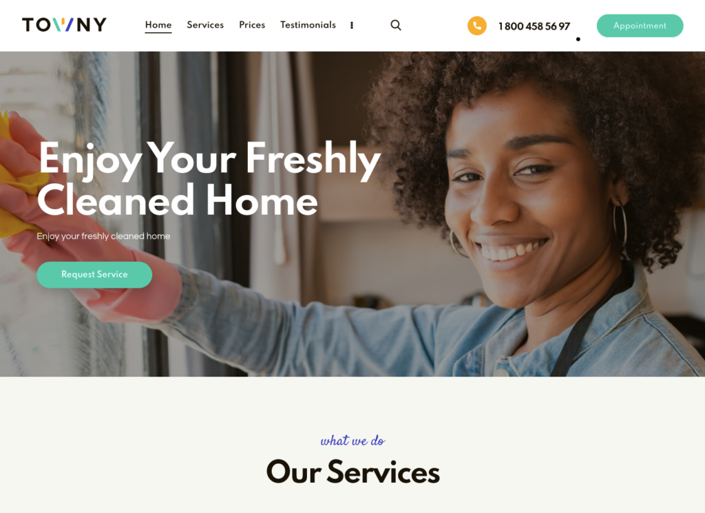 towny cleaning