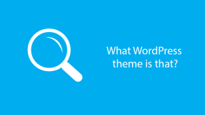 What WordPress theme is that