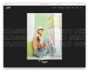 wordpress ecommerce examples